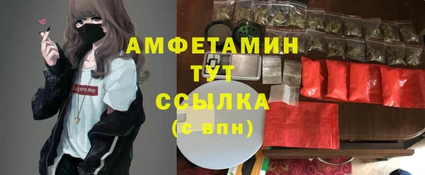 спайс Нея
