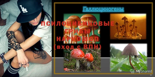 spice Грязовец